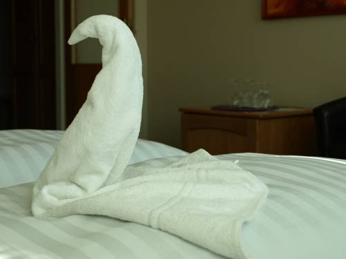 Imagen de la habitación del Hotel U Labutě. Foto 8