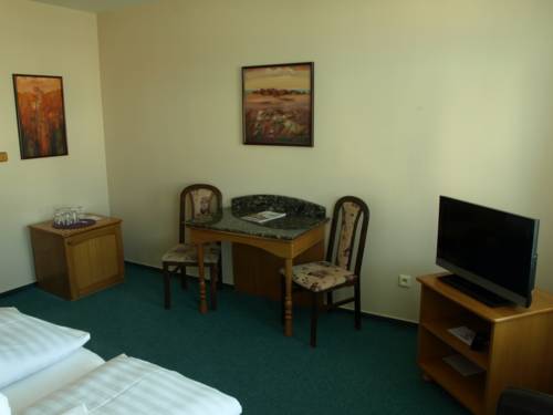 Imagen de la habitación del Hotel U Labutě. Foto 14