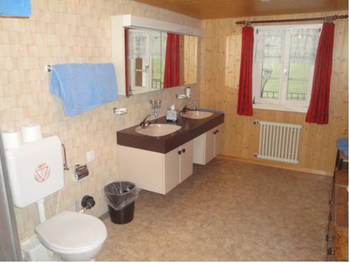 Imagen de la habitación del Hotel Urirotstock. Foto 13