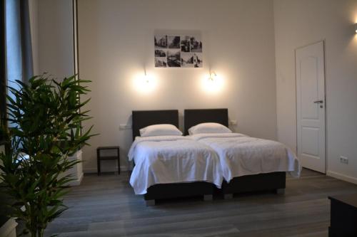 Imagen general del Hotel Vallis. Foto 2