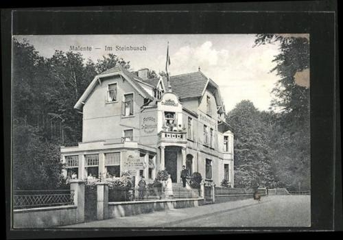Imagen general del Hotel Villa Im Steinbusch. Foto 1