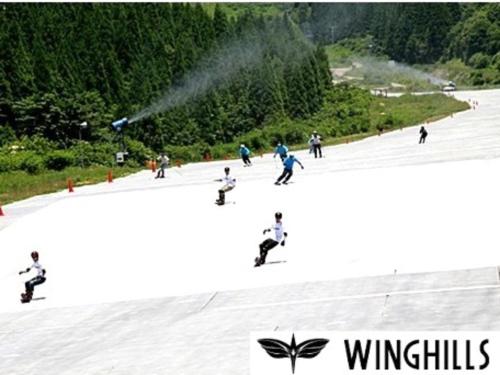 Imagen general del Hotel Villa Wing - Vacation STAY 43150v. Foto 12