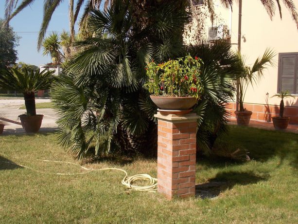 Imagen de los exteriores del Hotel Villa dei Butteri. Foto 18