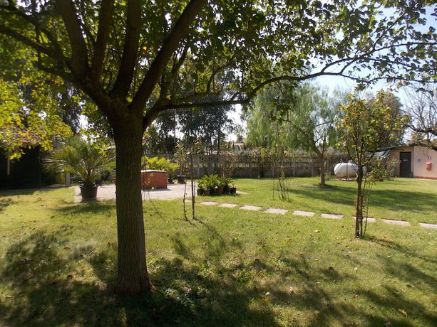 Imagen de los exteriores del Hotel Villa dei Butteri. Foto 19