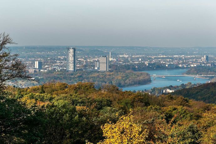 Imagen general del Hotel Villa von Sayn. Foto 5