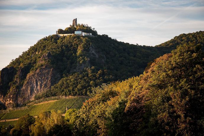 Imagen general del Hotel Villa von Sayn. Foto 7