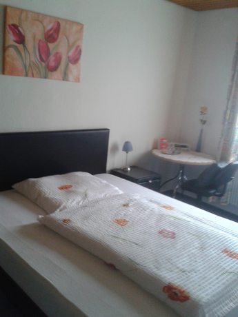 Imagen de la habitación del Hotel Waldschloss. Foto 10