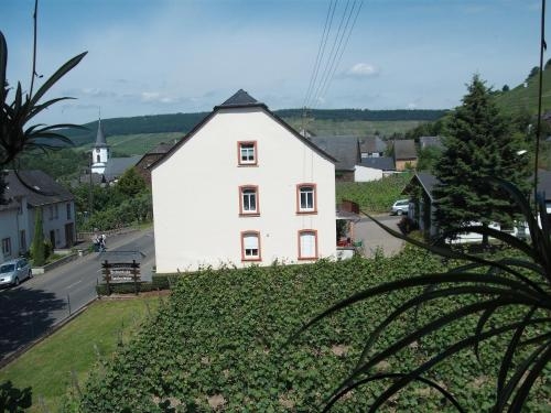 Imagen general del Hotel Weinhaus Liesertal. Foto 1