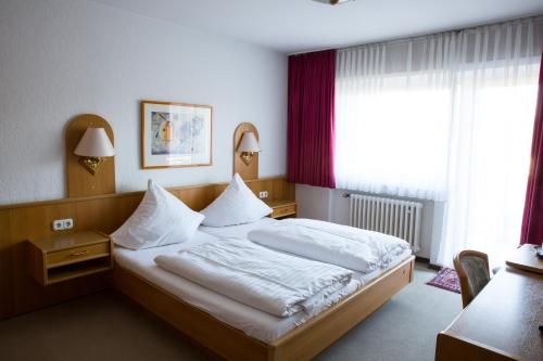 Imagen general del Hotel Wilms. Foto 2