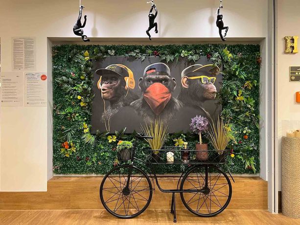 Imagen de los interiores del Hotel Winterrot. Foto 17