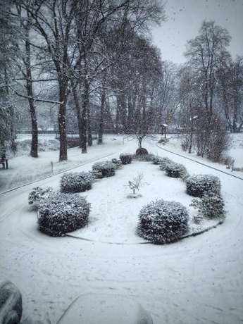 Imagen general del Hotel Wintersm&uuml;hle. Foto 3