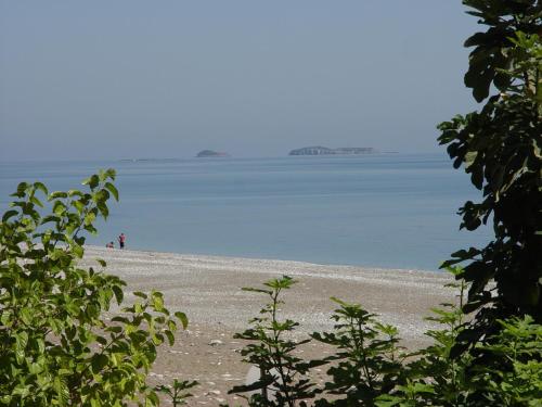 Imagen general del Hotel Yavuz Bungalow. Foto 3