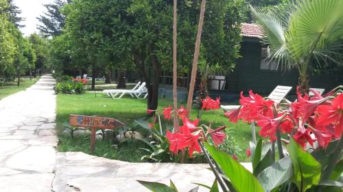 Imagen general del Hotel Yavuz Bungalow. Foto 6