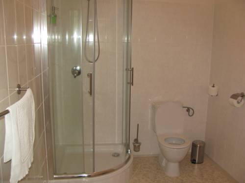 Imagen de la habitación del Hotel Z&aacute;lozna Boskovice. Foto 12