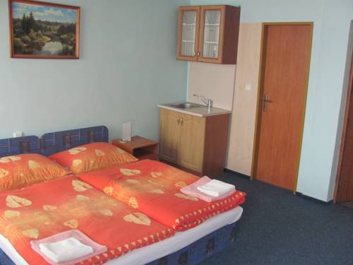 Imagen de la habitación del Hotel Z&aacute;lozna Boskovice. Foto 15