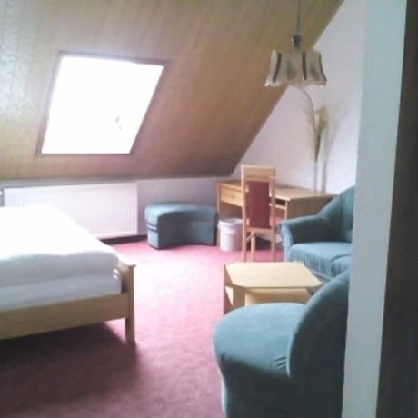 Imagen de la habitación del Hotel Zum Goldenen L&ouml;wen, Merseburg. Foto 15