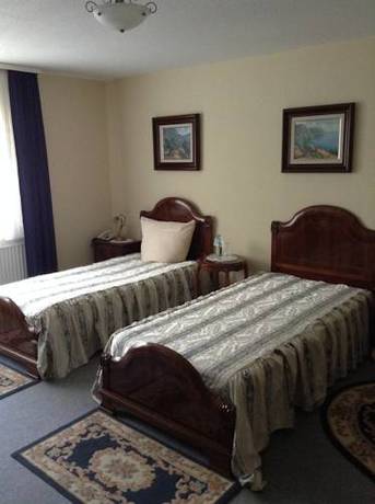 Imagen de la habitación del Hotel Zum Stresemann. Foto 12