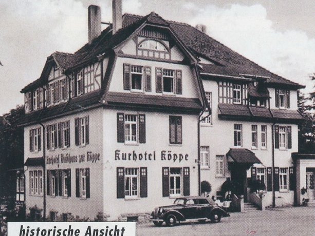 Imagen general del Hotel Zur K&ouml;ppe. Foto 2