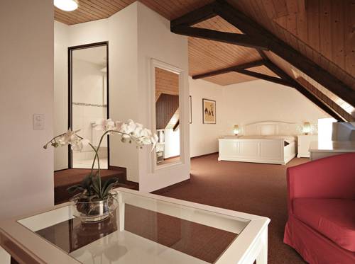 Imagen de la habitación del Hotel Zur Post, Zurzach. Foto 14