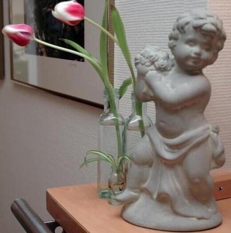 Imagen de los interiores del Hotel am Rokokogarten. Foto 20