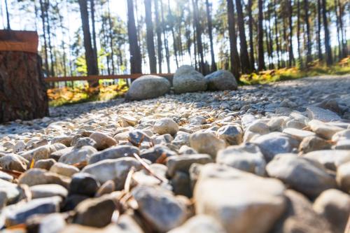 Imagen general del Hotel & Glamping Gerhardhof by ALPAMI. Foto 8