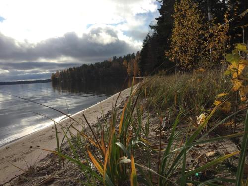 Imagen de la habitación del Hotel & Hostel Tallukka. Foto 8