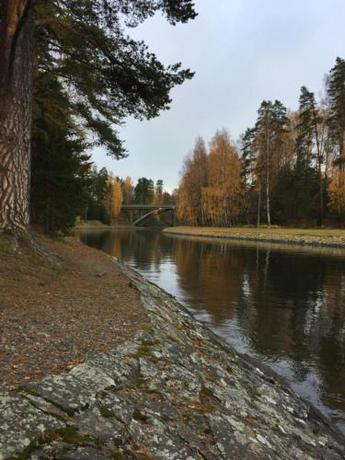 Imagen general del Hotel & Hostel Tallukka. Foto 5