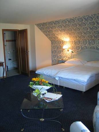 Imagen de la habitación del Hotel & Restaurant Alte Rheinmühle. Foto 9