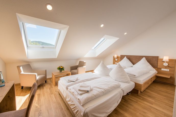 Imagen de la habitación del Hotel and Gasthaus L&ouml;wen. Foto 3