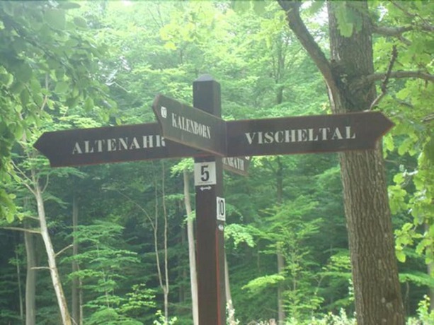 Imagen general del Hotel and Restaurant Zum Schwarzen Kreuz. Foto 2