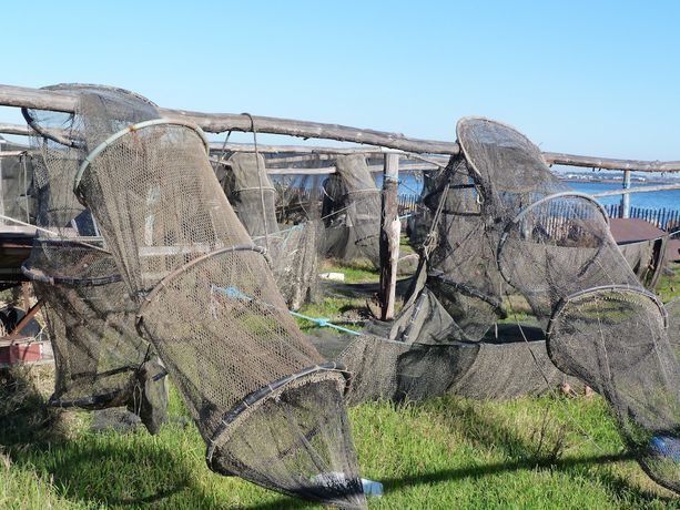 Imagen general del Hotel de Thau. Foto 4