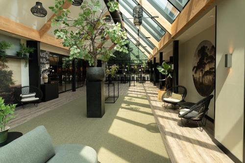 Imagen general del Hotel de Werelt. Foto 5