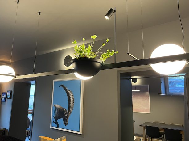 Imagen de los interiores del Hotel de tRois. Foto 9