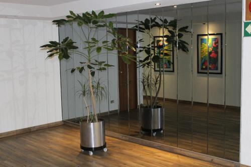 Imagen general del Hotel del Sur, Mexico City. Foto 17