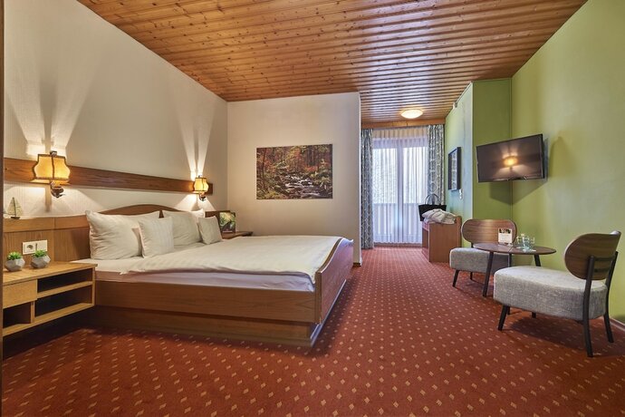 Imagen de la habitación del Hotel der B&auml;ume. Foto 18
