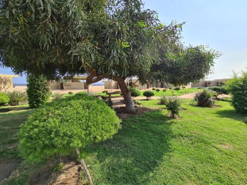 Imagen general del Hotel y Caba&ntilde;as Hornitos - Caja Los Andes. Foto 12