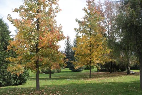 Imagen general del Hotel y Caba&ntilde;as Palomar - Caja los Andes. Foto 7