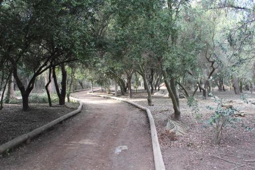 Imagen general del Hotel y Caba&ntilde;as Palomar - Caja los Andes. Foto 9