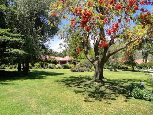 Imagen general del Hotel y Caba&ntilde;as Palomar - Caja los Andes. Foto 11