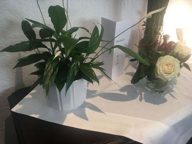 Imagen de los interiores del Hotel zur Pfalz. Foto 20