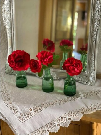 Imagen de los interiores del Hotel zur Ulme. Foto 19