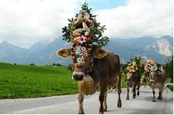 Imagen general del Hotel-Garni Anni. Foto 3