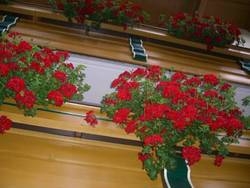 Imagen general del Hotel-Garni Anni. Foto 15