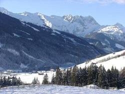 Imagen general del Hotel-Garni Anni. Foto 29