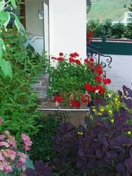 Imagen general del Hotel-Garni Anni. Foto 33