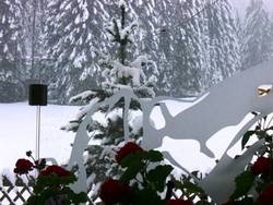 Imagen general del Hotel-Garni Anni. Foto 36