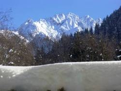Imagen general del Hotel-Garni Anni. Foto 40
