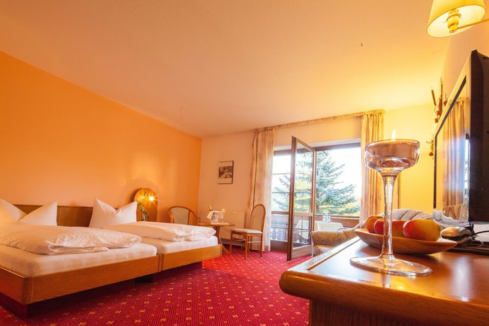 Imagen de la habitación del Hotel-Gasthof Th&uuml;ringer Hof. Foto 8