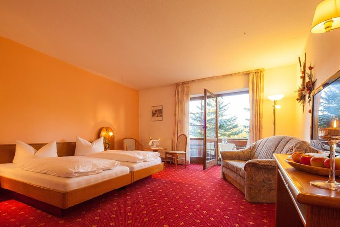 Imagen de la habitación del Hotel-Gasthof Th&uuml;ringer Hof. Foto 14