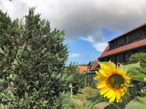 Imagen general del Hotel-Pension Seeadler. Foto 3